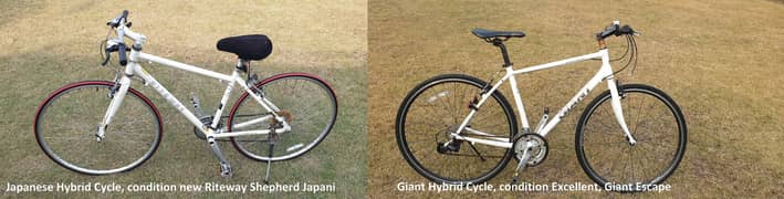 Giant Escape Hybrid Cycle and Japanese Riteway Shepherd Japani cycle