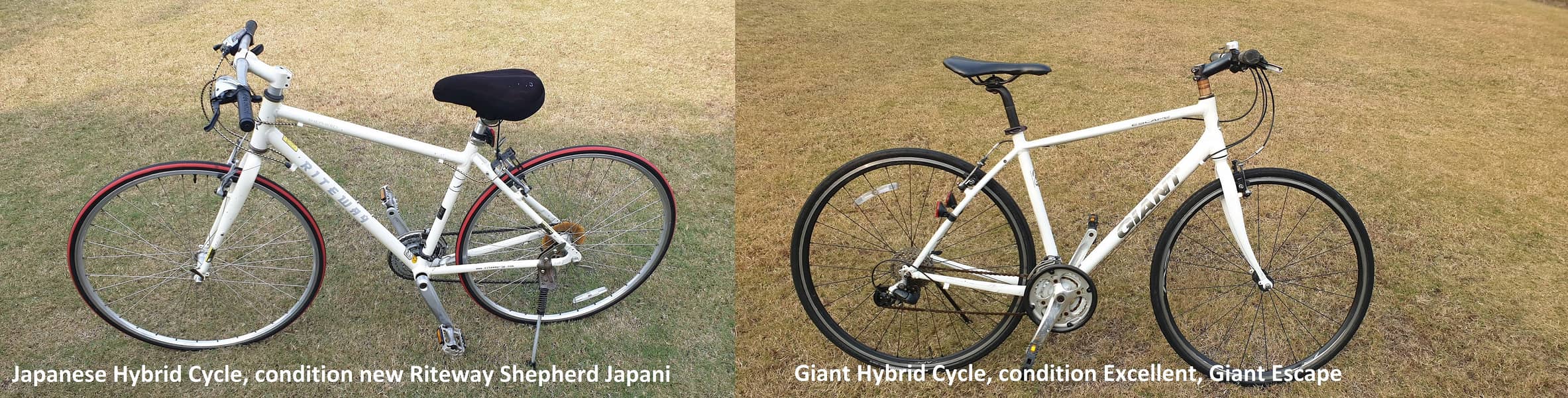 Giant Escape Hybrid Cycle and Japanese Riteway Shepherd Japani cycle 0