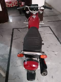 Honda 125 2021 model  all Punjab Number