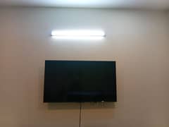 TCL LED 65INCH