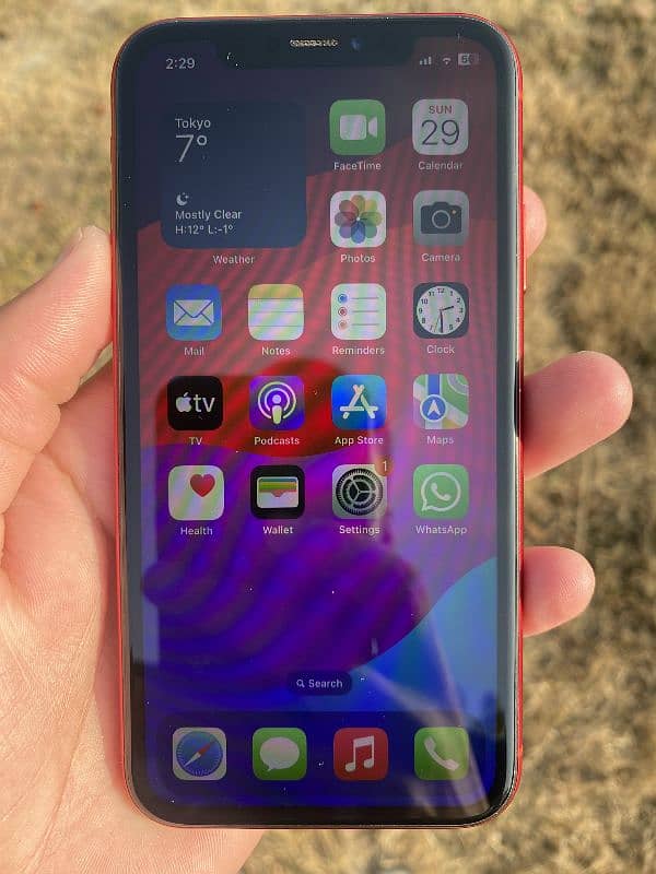 iPhone XR Non PTA (Factory Unlocked) 6