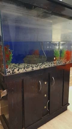 aquarim for sale in good size