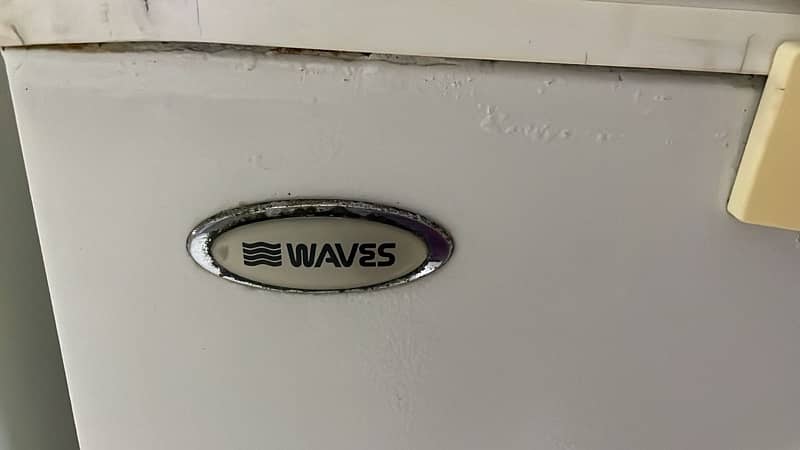 WAVES DEEP FREEZER 2 DOOR 4