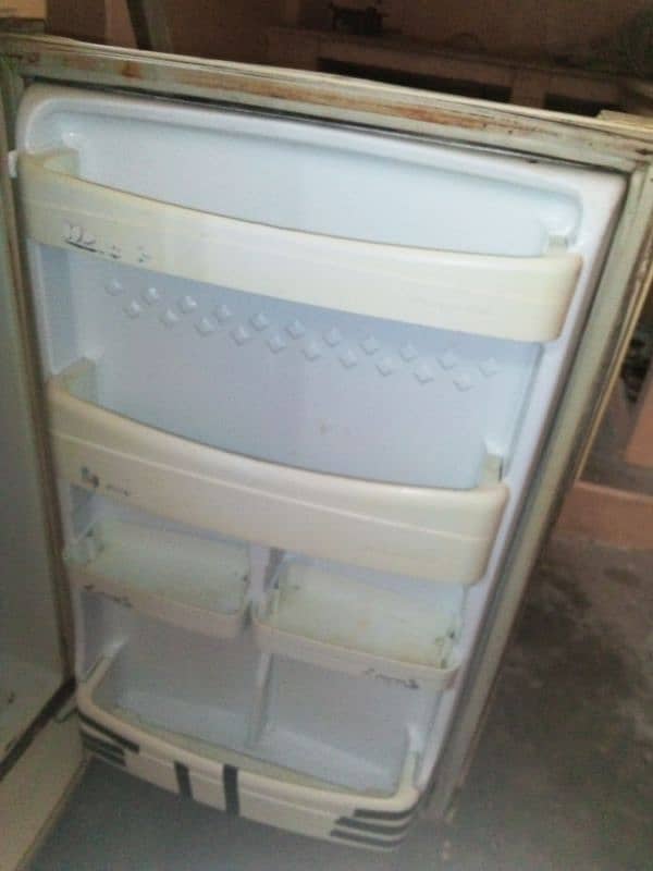 freezer PEL company 1