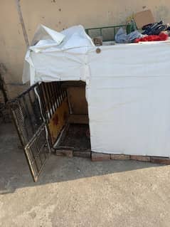 dog cage for sale