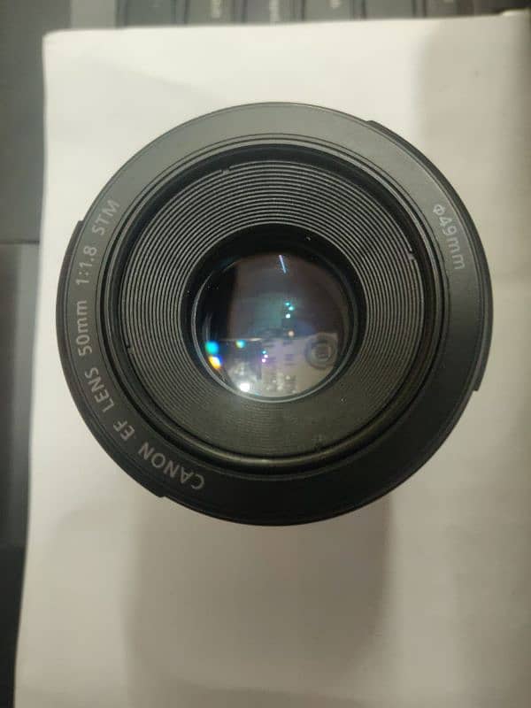 Canon 50mm f/1.8 STM lens 1