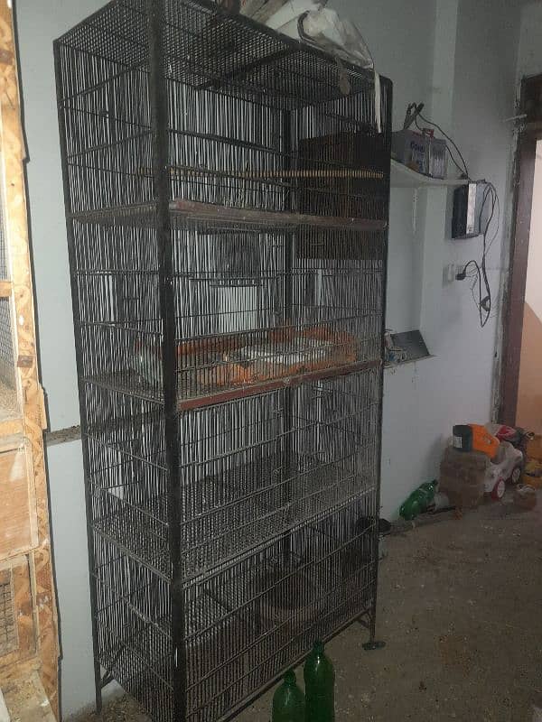 birds cage for sale 1