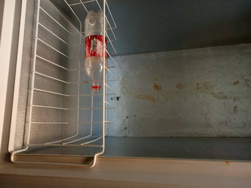 deep freezer Haier hdf 545 03137279800 5