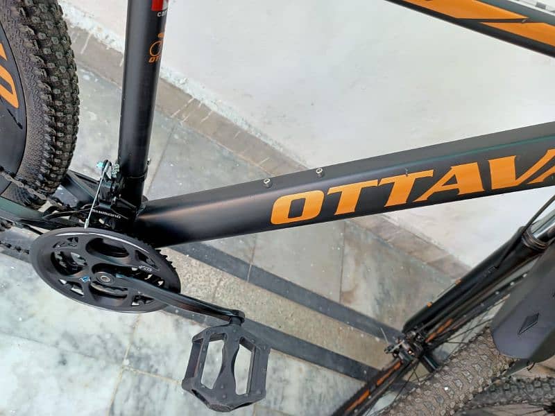 Bicycle-OTTAVA 29 INCHES 3