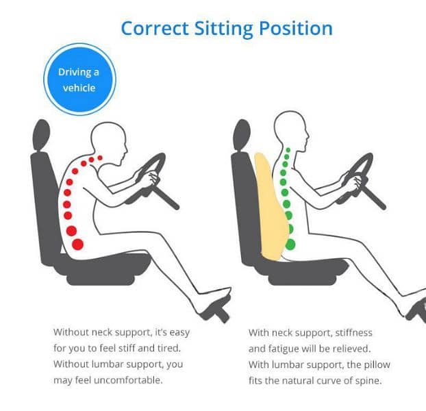 Back Posture Support Cushion For Car free home delivery 1