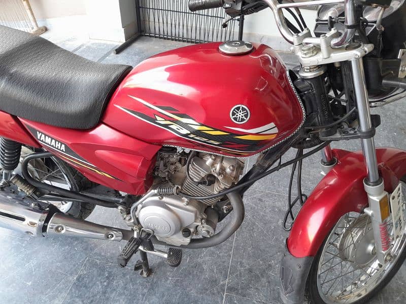 YB 125Z fo sale. lush condition 2023 model. 1