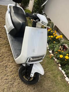 EVEE C1 SCOOTY (2024) MODEL  | EVEE SCOOTIES