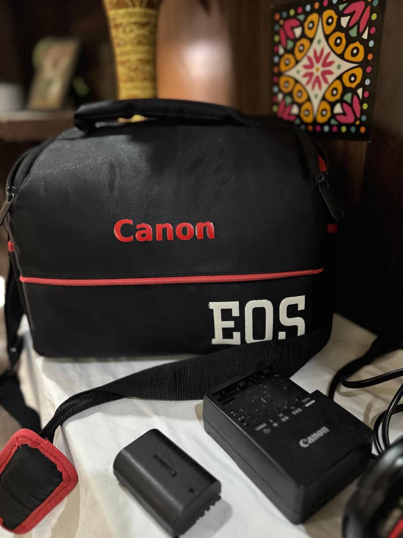 canon 5d mark iv with Canon 24-105 Lens + charger 10