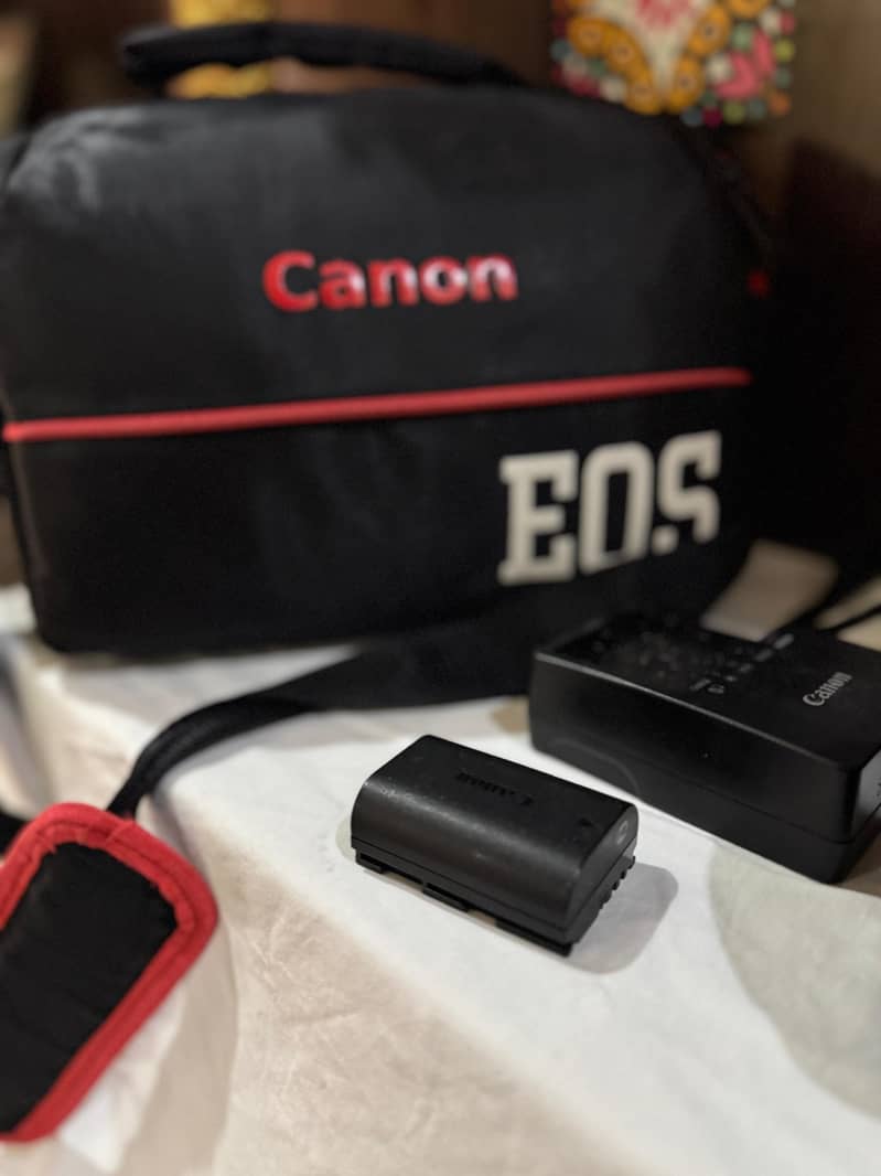 canon 5d mark iv with Canon 24-105 Lens + charger 14