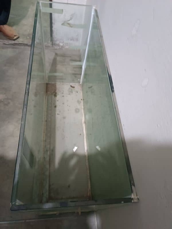 Fish Aquarium 2