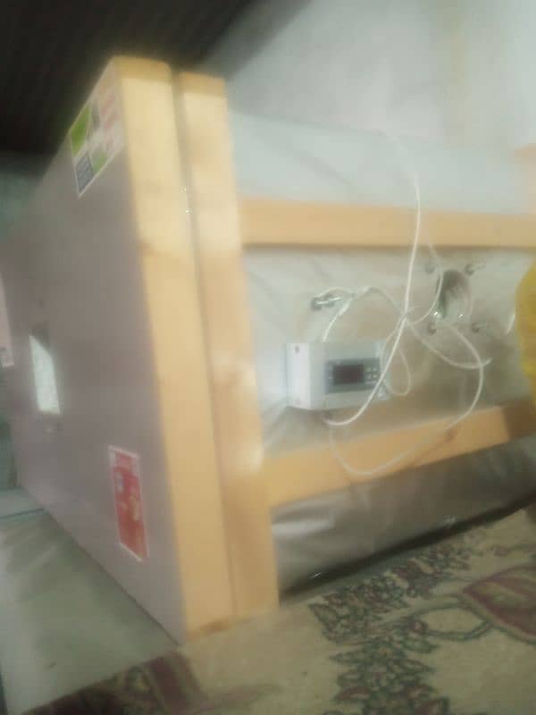 Chicks and birds incubator with cage 4