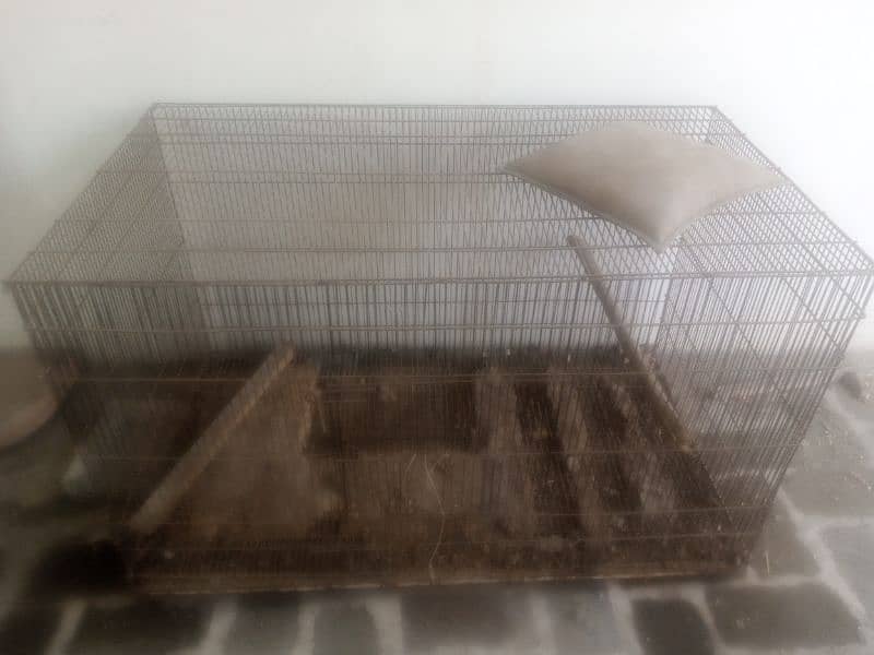 Chicks and birds incubator with cage 7