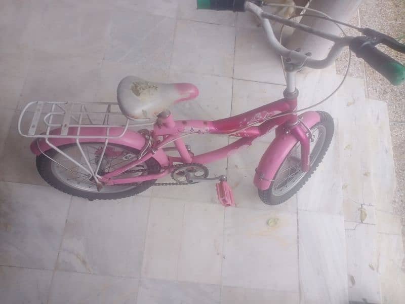 cycle pink colour 1