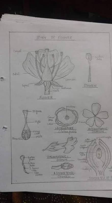 Practical Copies hum se banwai 5