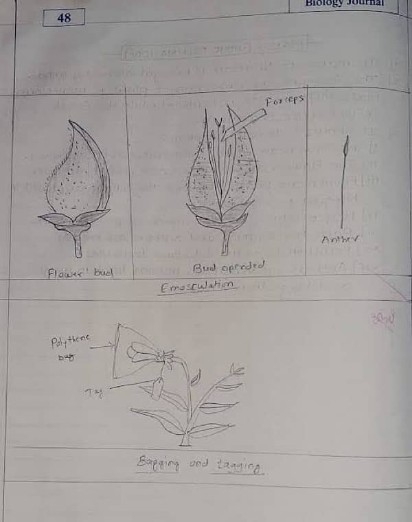 Practical Copies hum se banwai 6