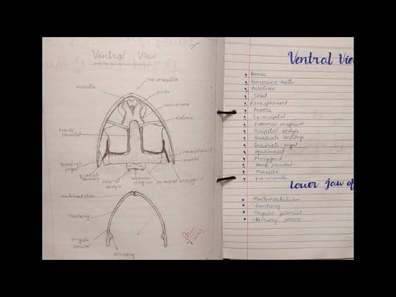 Practical Copies hum se banwai 8