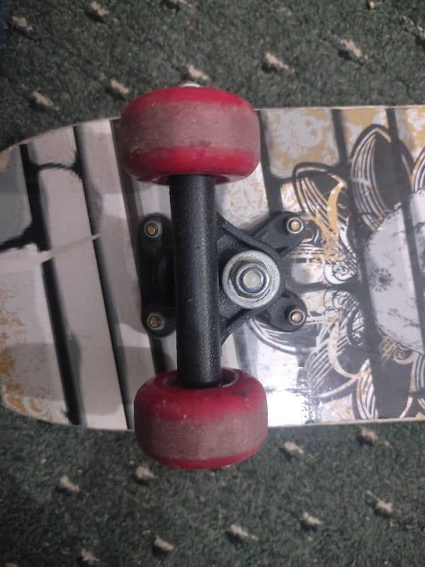 skateboard 3