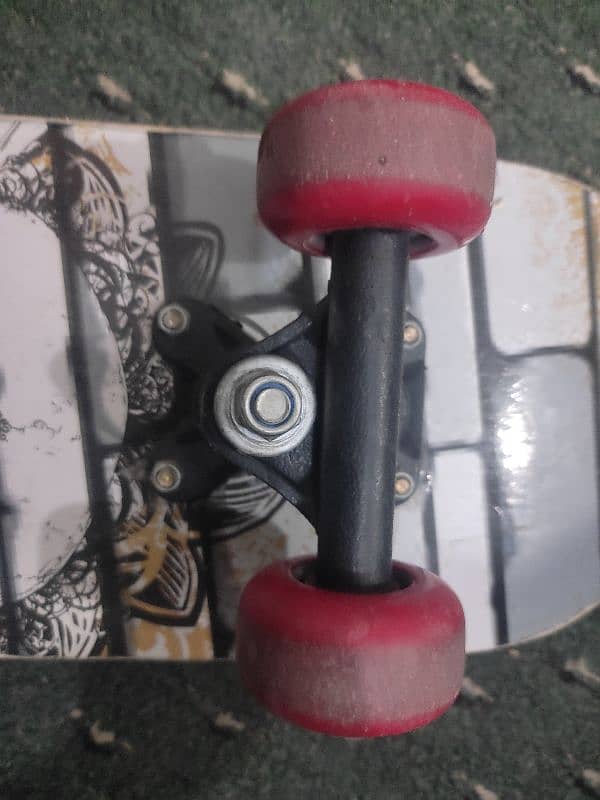 skateboard 4