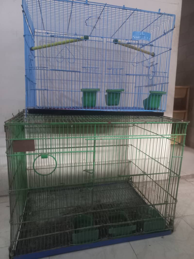 Cages for parrots / hens / pigeons 1