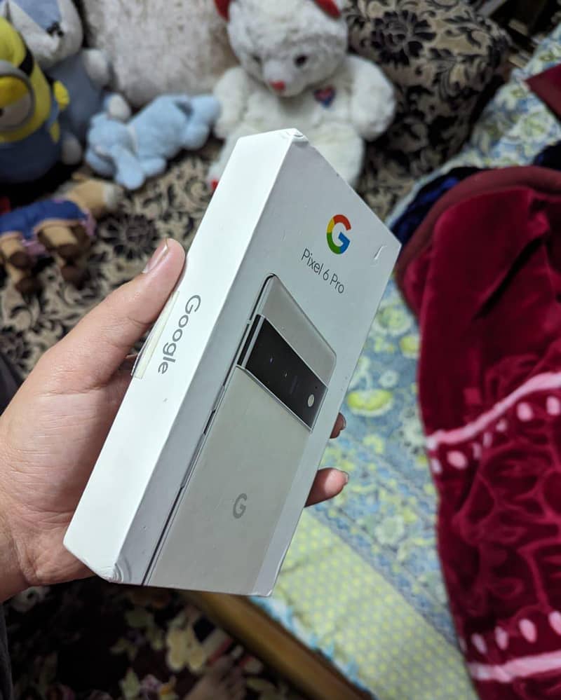 Google pixel 6 Pro 1