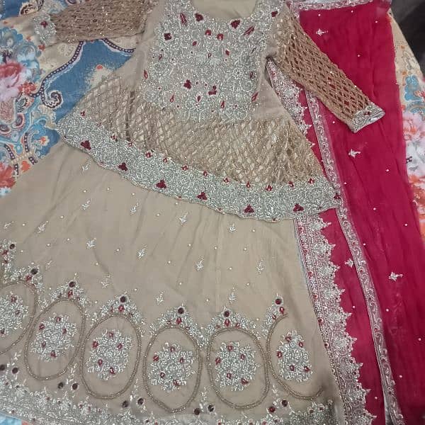 Bridal Lehnga 12