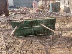 Parrot cages for sale