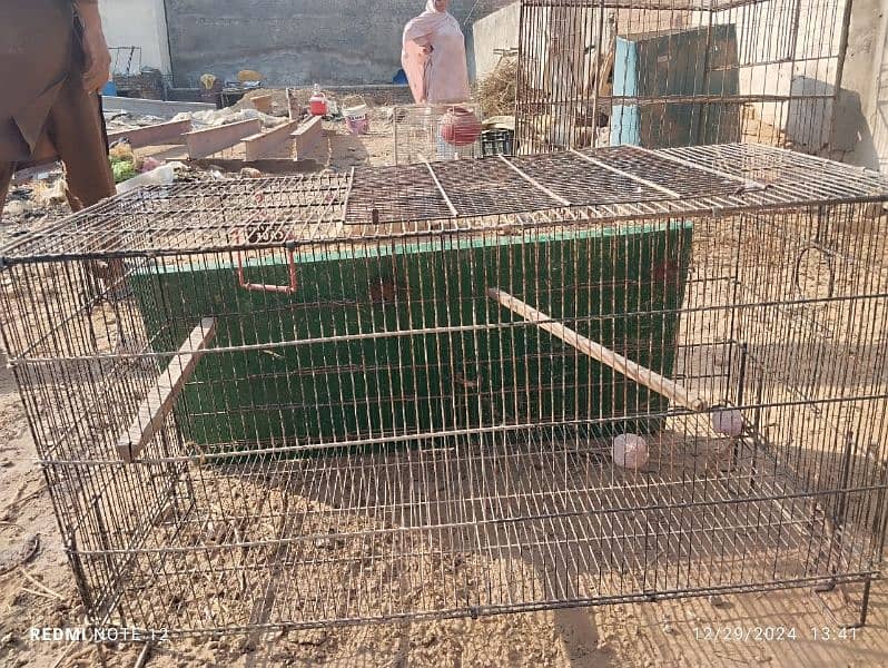 Parrot cages for sale 0