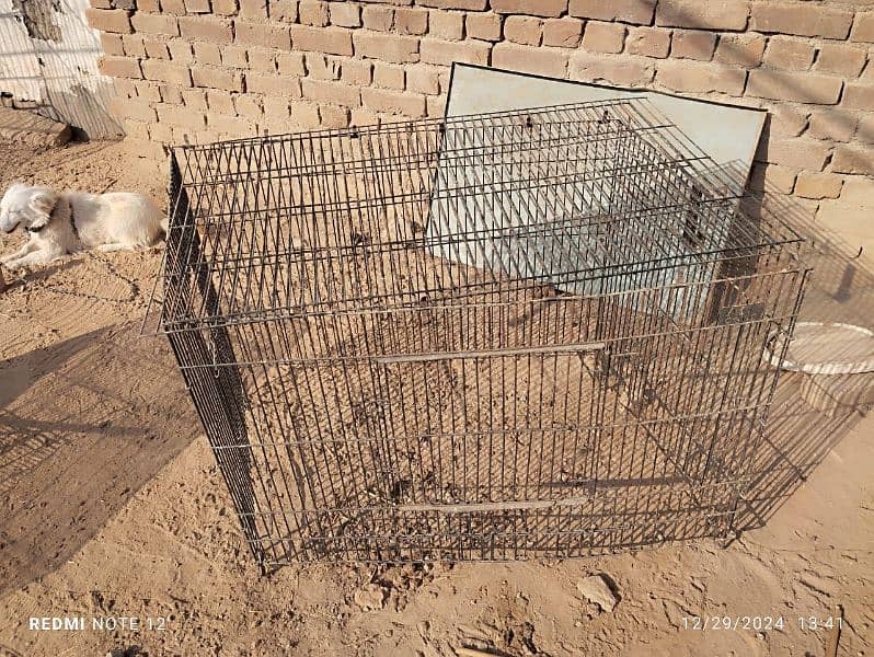 Parrot cages for sale 2