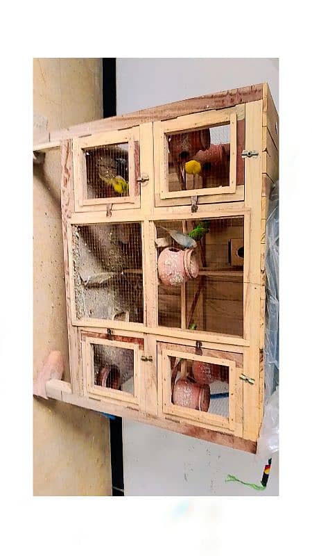 budgies and wooden cage 2