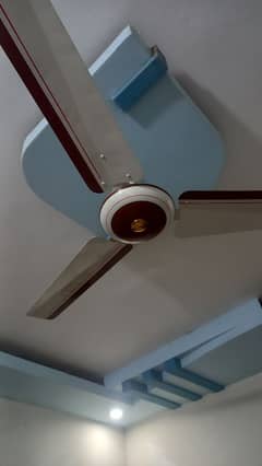 old fans colour repair karwane k liye ہم se رابطہ karain