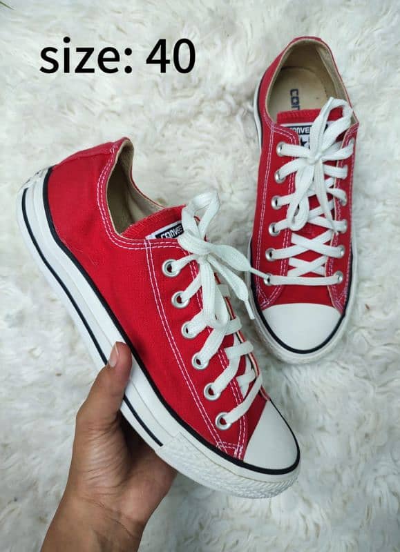 All Star Converse and Vans 4