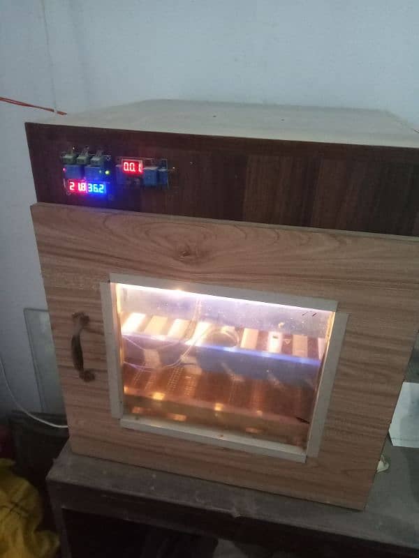 incubator 0