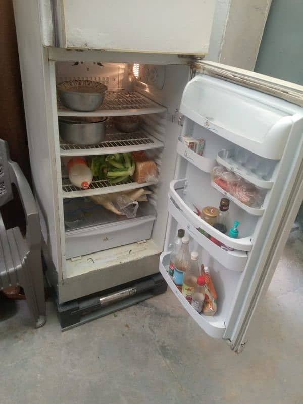 Pel Fridge Large Size for sale 6