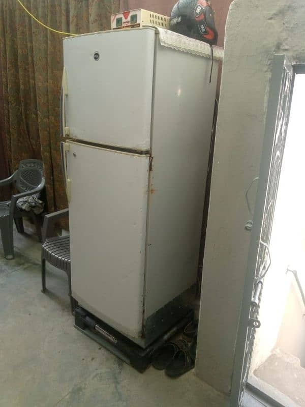 Pel Fridge Large Size for sale 7