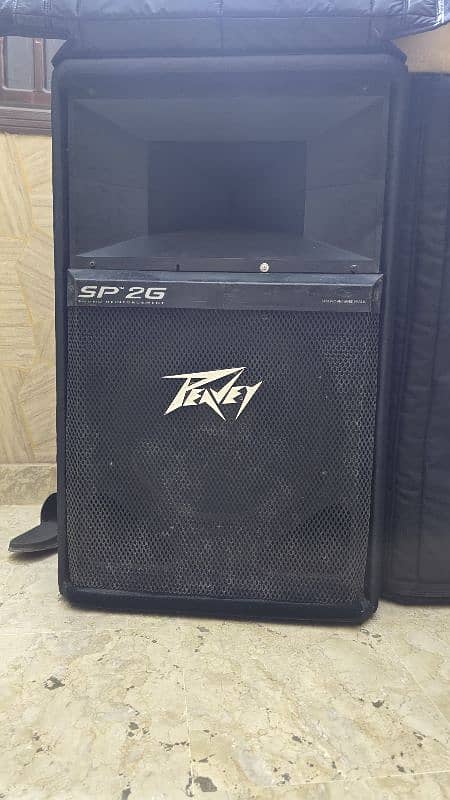 PEAVEY 1