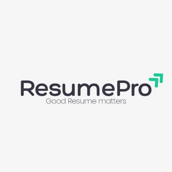 Professional and premium Resume and CV making 1