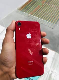 iphone xr non pta 64gb/jv