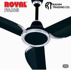 Royal ceiling fan