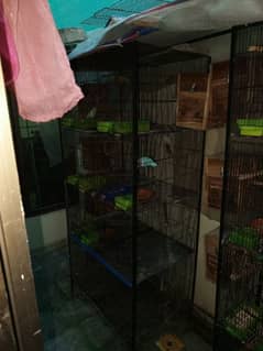 Cage For Love Birds Budgies Dove etc