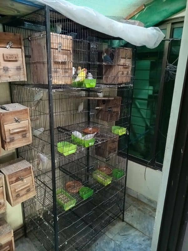 Cage For Love Birds Budgies Dove etc 1