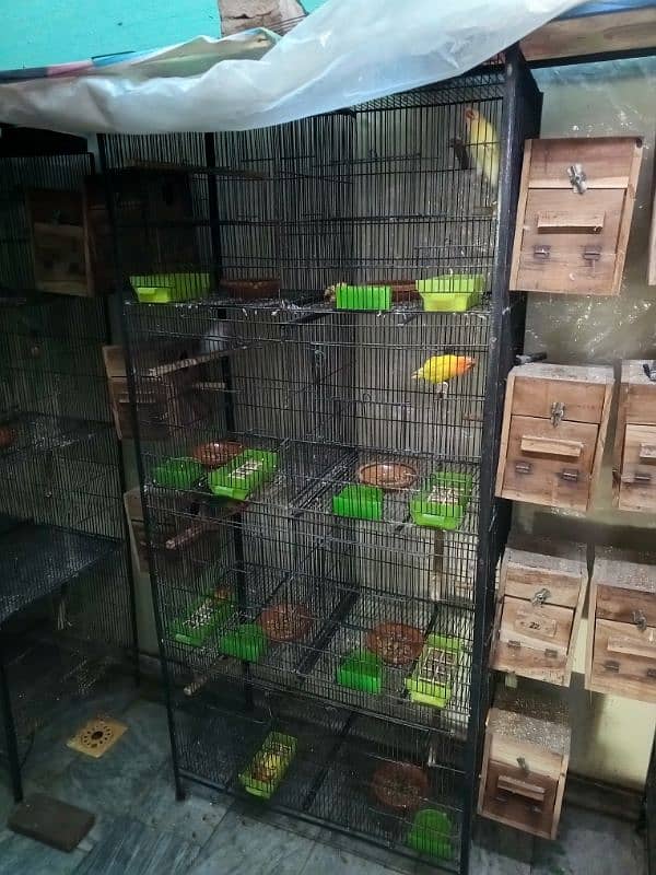 Cage For Love Birds Budgies Dove etc 2