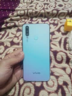 Vivo