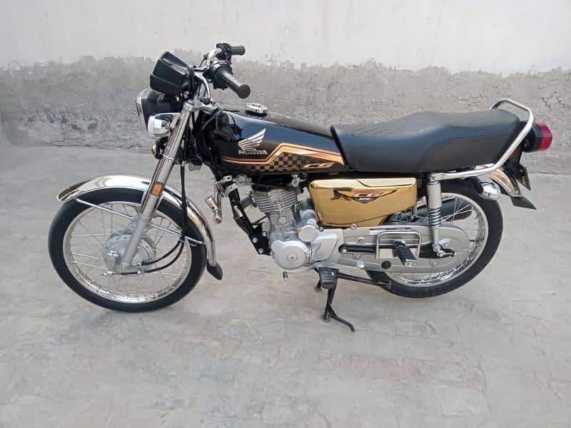 CG 125 gold edition 2023/24 0