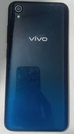 vivo