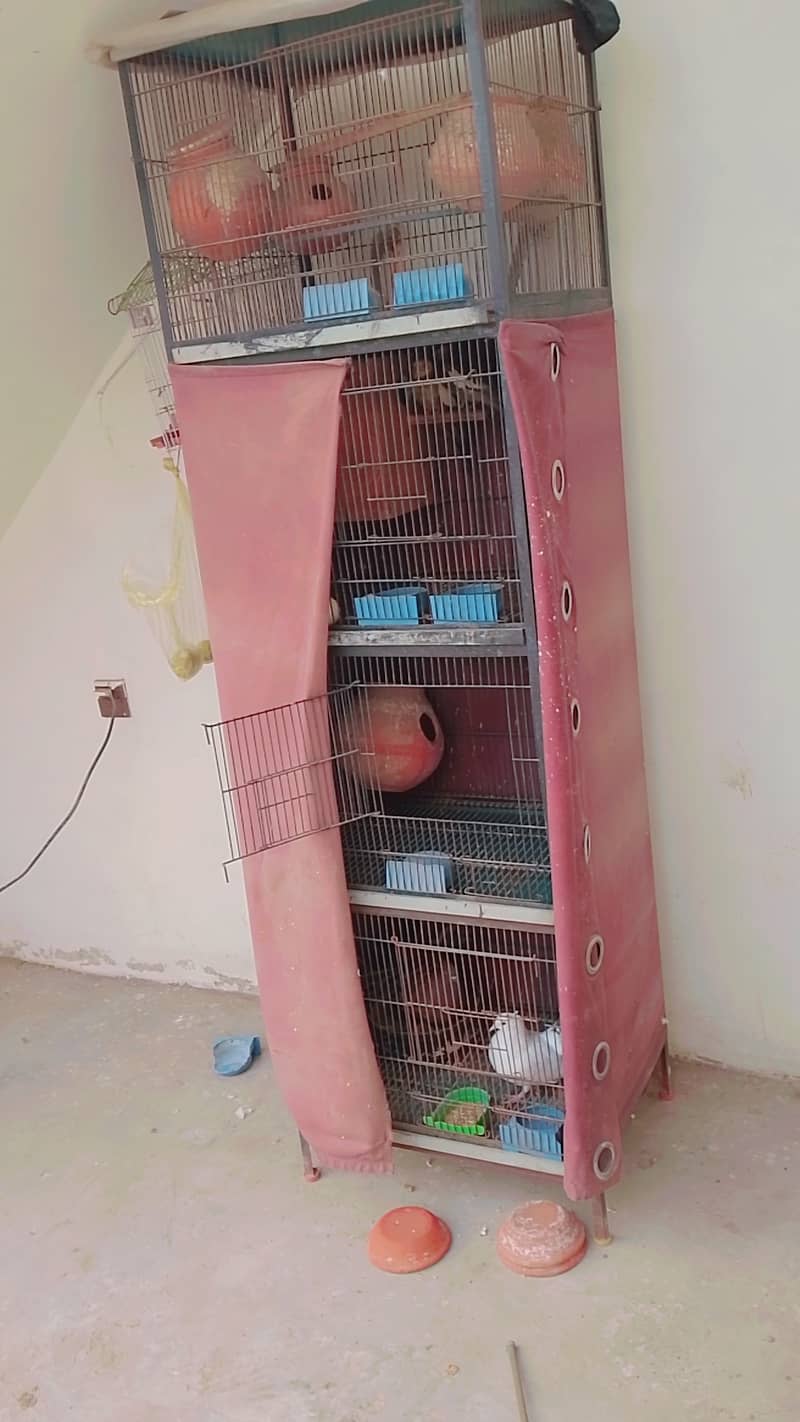 Cage+birds for sale 0